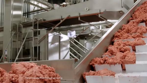 Prima ţară care va comercializa carne produsă artificial în laborator. Când ar putea apărea pe rafturile magazinelor
