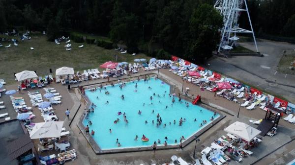 Este bronzul de munte mai rezistent și mai sănătos decât cel de mare? Concluzia specialiștilor