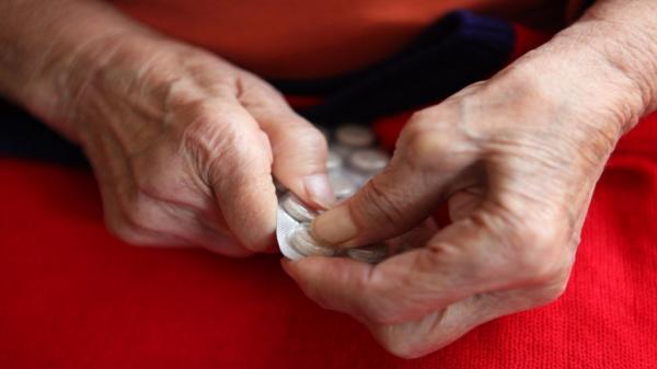 Un nou azil al groazei, descoperit lângă Pitești. "Șmecheria" prin care proprietarii evitau controalele autorităților