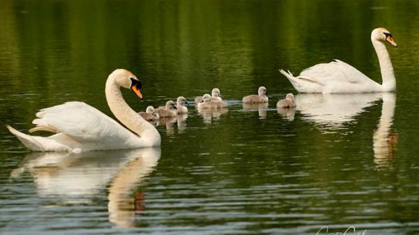 Locul spectaculos din România în care turiștii se bucură de peisaje exotice: "Este foarte interesant"