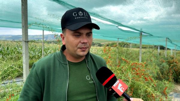 Iacob vindea cartofi şi porumb, dar o altă afacere i-a adus adevăratul succes: acum dă 1 kg cu 70 de lei