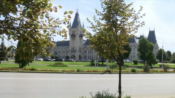 Poluarea din Iaşi ameninţă faimoşii tei care străjuiesc străzile oraşului. Ce soluţii au în vedere autorităţile