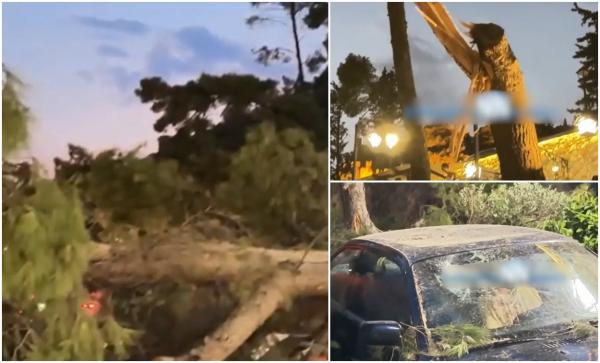 O familie cu trei copii, la un pas să fie zdrobită de un copac uriaş, în Grecia. Momentul terifiant a fost filmat