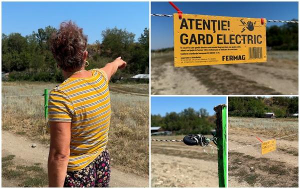 Au blocat drumul cu un gard electric lung de 300 de metri. O asociaţie de fermieri le-a dat viaţa peste cap locuitorilor din Dumbrava Roşie