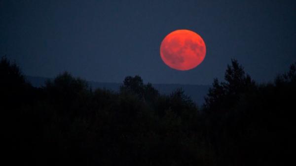 Superluna albastră a avut un efect special asupra celor care au admirat-o. Fenomenul, vizibil pentru prima oară în 15 ani