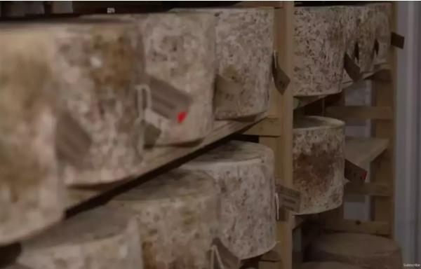 22 de tone de brânza cheddar, de 360.000 de euro, furate de o bandă de hoţi în UK. Jamie Oliver cere ajutor populaţiei