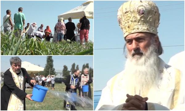 ÎPS Teodosie a chemat ploaia pe câmpurile din Constanţa. A făcut rugăciuni speciale şi i-a cerut Domnului să se îndure de oameni