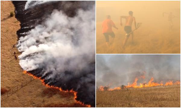 "Suntem înconjurați de foc". Incendiile dezastruoase fac prăpăd în țară. La Runcu, zeci de hectare s-au făcut scrum în mai puţin de două ore