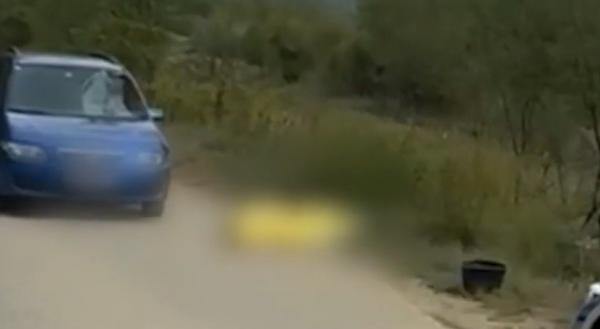 Biciclist spulberat mortal de un autoturism, în satul Vlădeşti din Vâlcea. Bărbatul de 59 de ani n-a mai avut nicio şansă