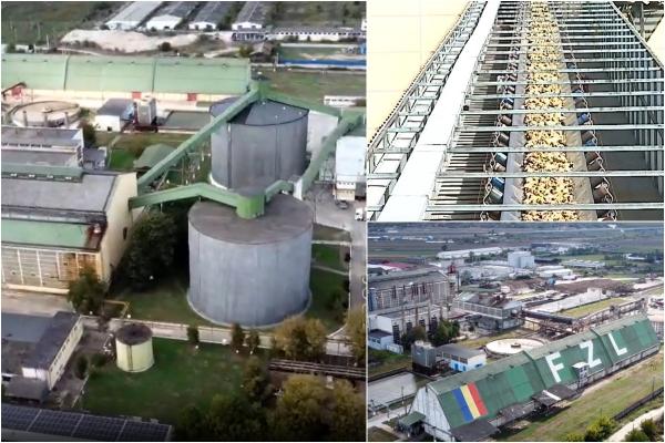 Fabrica unde se produce zahărul 100% românesc. 500 de fermieri din ţară contribuie la producţia impresionantă