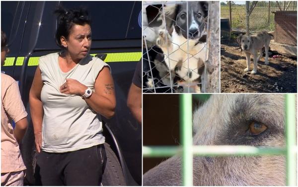 Afacere de sute de mii de euro pe suferinţa animalelor, la un adăpost ilegal de câini din Giurgiu. Patrupezii, maltrataţi, înfometaţi şi chiar ucişi de proprietară