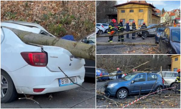 Copaci prăbuşiţi de vânt peste maşini, într-o parcare aglomerată din centrul Braşovului.