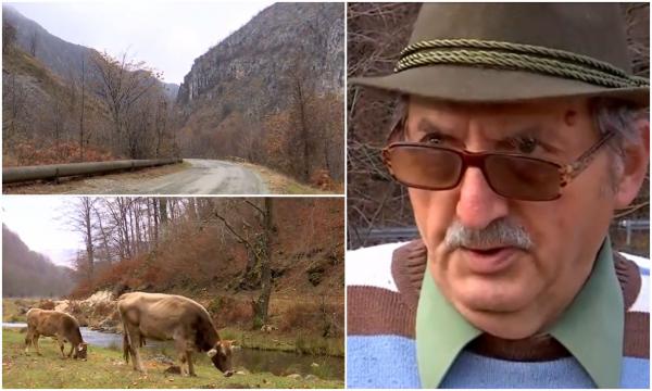 "Nu ai voie să faci absolut nimic". Val de revoltă, după ce aproape jumătate din pădurile Gorjului ar urma să intre în zona de protecţie strictă