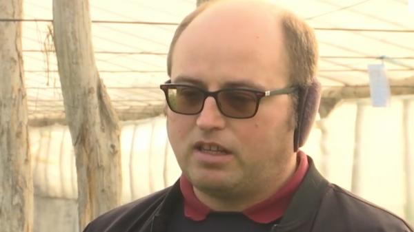 Locul din România care "sfidează" iarna: verzi, ca în plină vară, legumele vor ajunge curând pe tarabe, în pieţe. Cu cât se vând