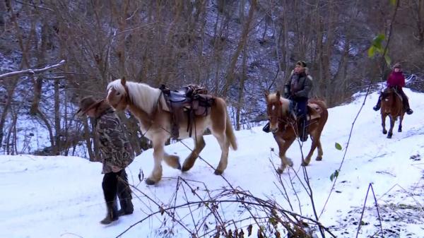 Cât costă o plimbare cu trăsura trasă de cai în Vatra Dornei: "Cam frig, dar merită. Nemaipomenit. Senzaţional"