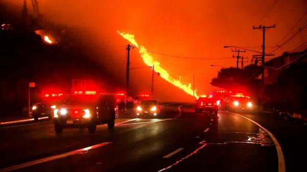 Incendii devastatoare în LA. Vedetele ocolite de dezastru încearcă să ajute: Sharon Stone şi Halle Berry îşi donează hainele celor afectaţi