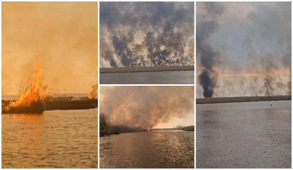 Incendiu violent în Delta Dunării, stins după şase ore.  400 de hectare de vegetaţie uscată au ars