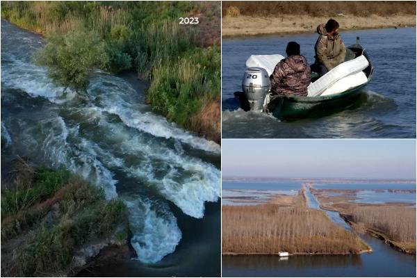 Paradis din Delta Dunării, în pericol de dispariţie, salvat datorită unui demers Observator. Zona Carasuhat, declarata protejată