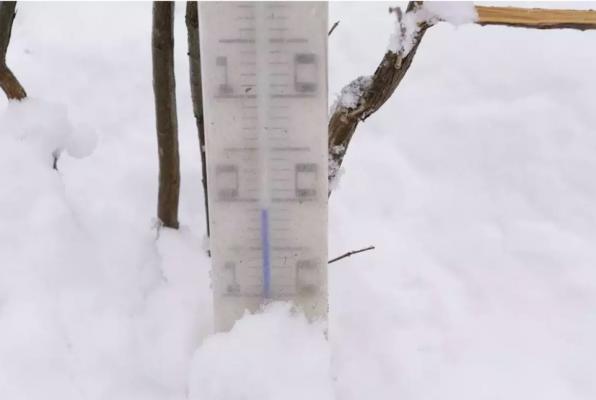 Cod galben de ninsori în Bucureşti şi alte 6 judeţe. Ger în jumătatea de nord a ţării