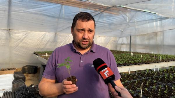 Metoda prin care Daniel, un fermier din nordul ţării, îşi fereşte legumele de gerul aprig. "O să avem şi profit"