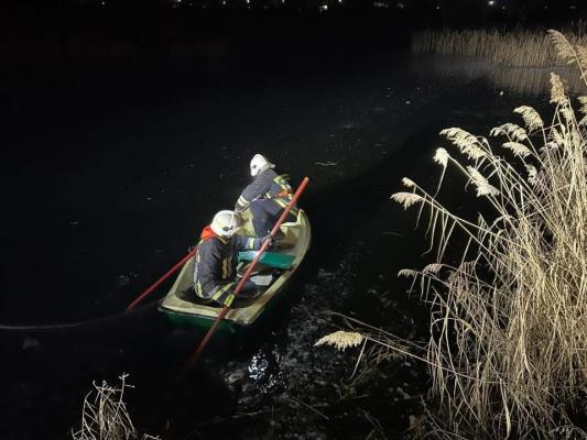 O căţeluşă a murit sub ochii salvatorilor, după ce a căzut într-un lac îngheţat din Cluj