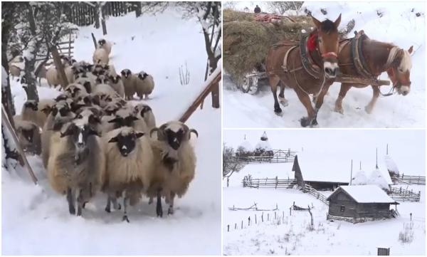 Județul din România pe cale să aibă un uriaş centru UNESCO, întins pe 134.000 de hectare