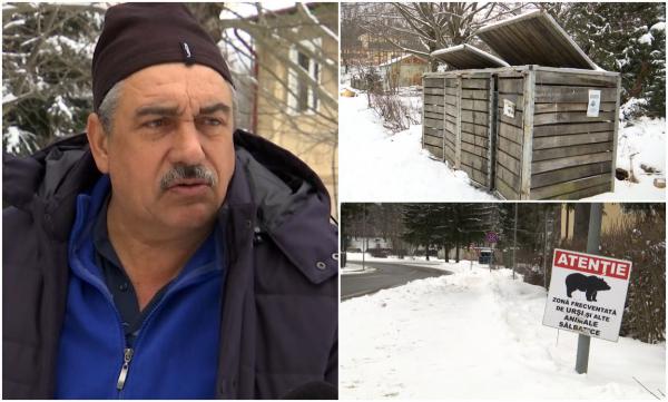 "E pericol! Nu ştii cum reacţionează" O ursoaică şi cei doi pui ai ei au semănat teroare pe străzile din Predeal