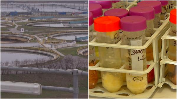 Apa de la staţia de epurare Glina, analizată în Belgia. Cercetătorii au făcut descoperit drogurile folosite de români