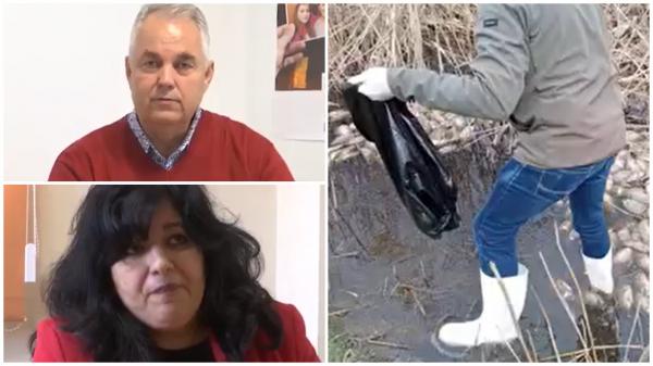 Sute de peşti morţi, în stare avansată de putrefacţie, lângă o staţie de epurare a apei. Detaliul suspect observat