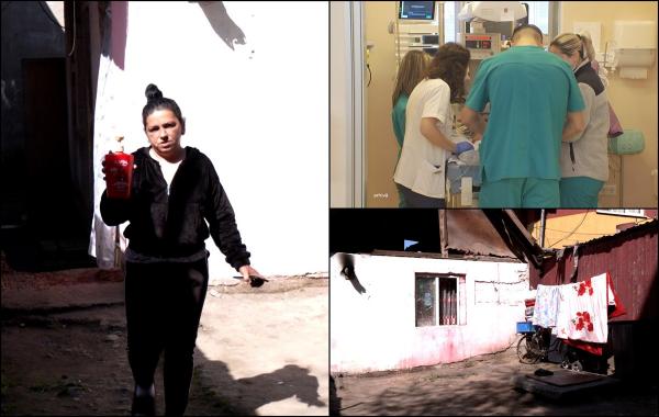 Fetiță de 11 ani, în comă după ce mama a spălat-o cu insecticid pentru animale. "Am vrut să o scap de păduchi"