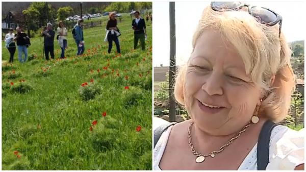 Tărâm de poveste. Locul din România unde bujorii de stepă oferă o privelişte de neuitat