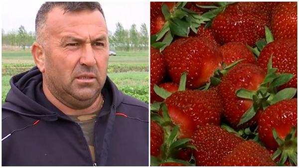Cât a ajuns să coste o caserolă de 500 de grame de căpşune româneşti. Scumpirile se simt şi la cireşe sau caise