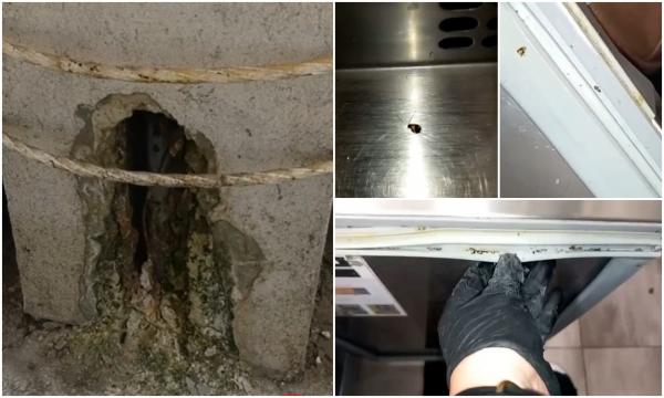 "Ăsta nu e gândac uscat?" Inspectorii ANPC, val de controale pe litoral înainte de minivacanţa de 1 Mai