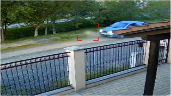 Bărbat din Moșnița Nouă, filmat cum împușcă un câine pe stradă, apoi îl bagă în portbagaj. Ar fi chiar veterinarul comunei