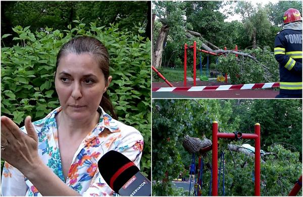 O bucată de câteva sute de kilograme s-a rupt dintr-un copac, într-un loc de joacă din București: "Era un copil în leagăn"