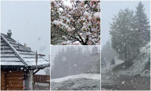 A nins ca-n plină iarnă în mai multe zone, cu două săptămâni înainte de începutul verii. Când se încălzeşte vremea