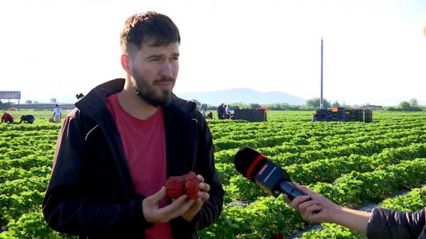 Marinel a dat lovitura cu un fruct-gigant, pentru care oamenii străbat şi 11 ore pe drum. Cât costă kilogramul