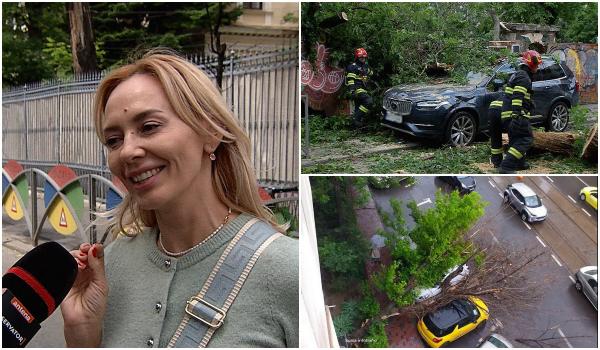 Copac, prăbuşit peste maşina unei şoferiţe. Are CASCO, însă i-ar putea fi refuzată despăgubirea