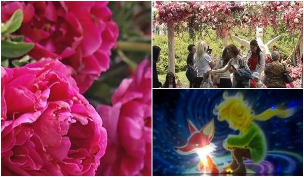 Spectacol inedit în cartierul Drumul Taberei, la cel mai mare festival al florilor din România