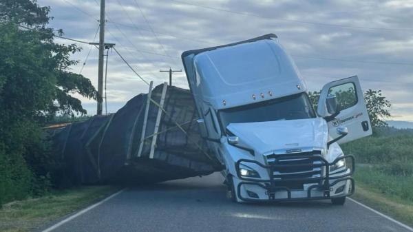 Un TIR cu 250 de milioane de albine s-a răsturnat pe o autostradă din SUA. Apicultorii încearcă să le prindă