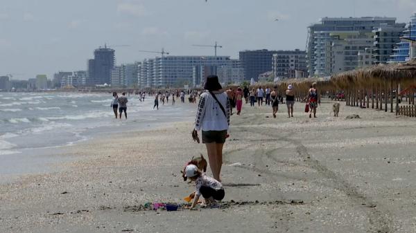 Cum au petrecut elevii Ziua Învăţătorului: excursii la zoo, la aqua park sau la mare