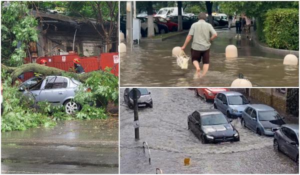 Imaginile dezastrului după furtuna din Capitală. Străzi şi scări de bloc inundate, copaci doborâţi de vânt