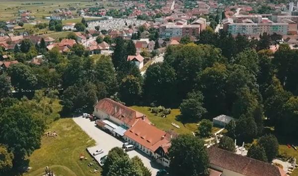 "Minunea" de la Palatul Brukenthal din Avrig. Oamenii vin aici în număr mare să vadă fenomenul atât de rar