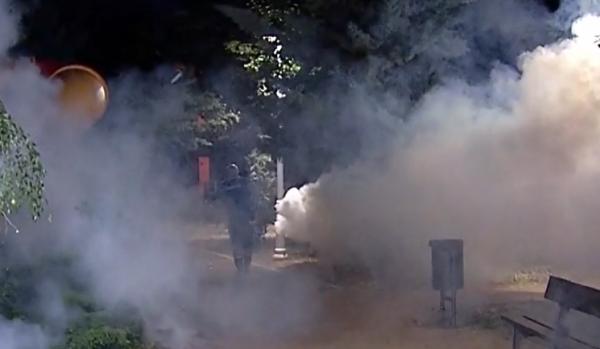 Capitala, invadată de tânţari şi musculiţe. Efectul tratamentelor de dezinsecţie se lasă aşteptat