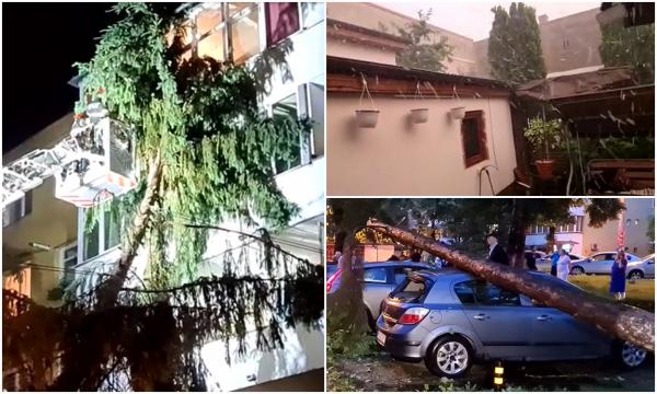"Am zis Doamne fereşte, vine sfârşitul!" O vijelie puternică a pus la pământ zeci de copaci în Targu Mureş