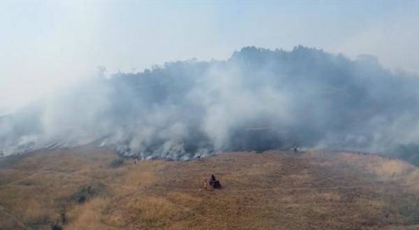 Incendiu uriaş de vegetaţie în Mehedinţi. Vâlvătaia a facut scrum zeci de hectare
