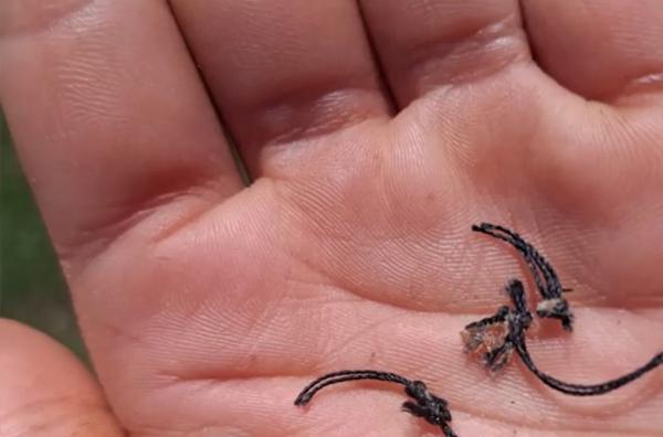 "Erau chinuiţi şi flămânzi". Doi fraţi din Arad au obţinut ordin de protecţie împotriva propriilor părinţi