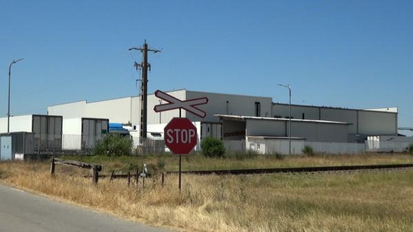 Focar de pestă porcină africană în Caraş-Severin. Mii de porci sacrificaţi, zonă de carantină extinsă