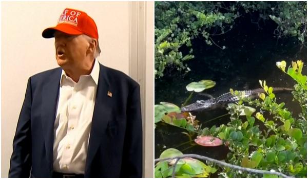 O închisoare înconjurată de prădători, noua soluție anti-imigranţi a lui Trump. Reacții dure în Florida