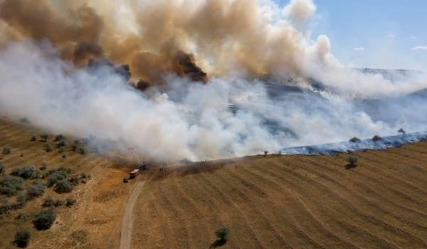 Incendii masive de vegetaţie în toată ţara. Au ars peste 500 de hectare de grâu, în Tulcea